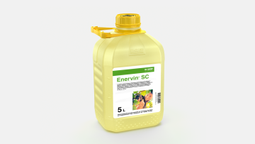 NEU! Enervin®SC